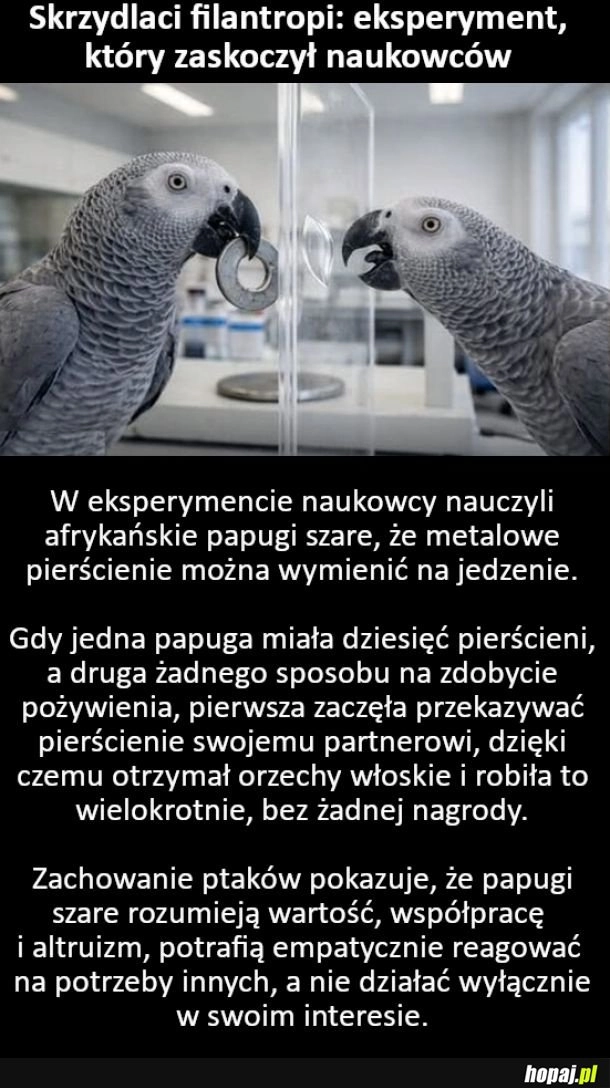 Eksperyment, który zaskoczył naukowców