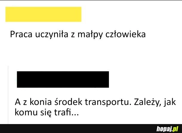 Zależy jak się trafi