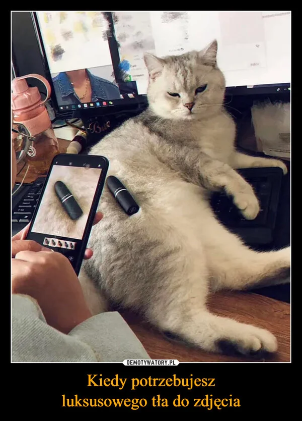 Kiedy potrzebujesz luksusowego tła do zdjęcia