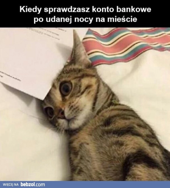 
    Kiedy sprawdzasz konto