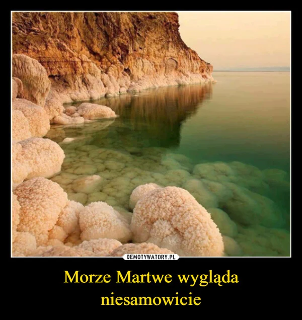 
    Morze Martwe wygląda niesamowicie