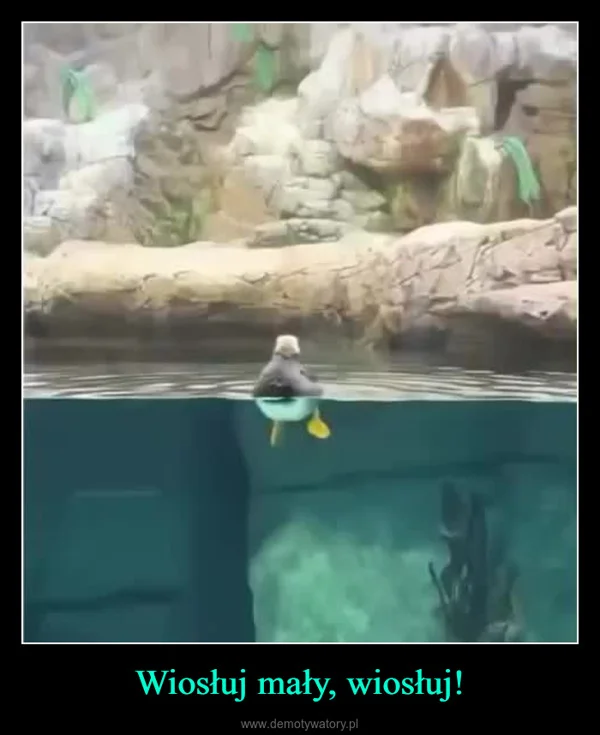 
    Wiosłuj mały, wiosłuj!