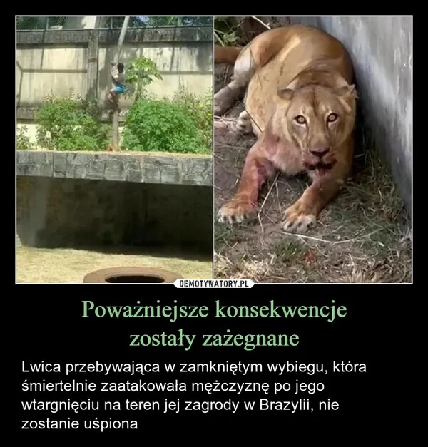 
    Poważniejsze konsekwencje zostały zażegnane