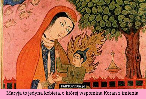 
    Maryja to jedyna kobieta, o której wspomina Koran z imienia.
