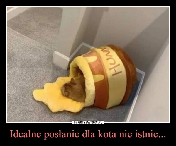 
    Idealne posłanie dla kota nie istnie...