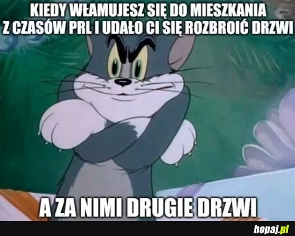 
    Włamywacz