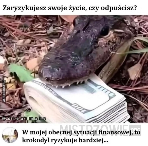 
    Zaryzykujesz swoje...