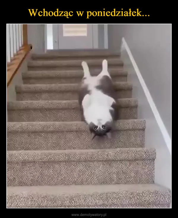 Wchodząc w poniedziałek...