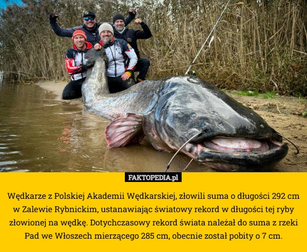 
    Wędkarze z Polskiej Akademii Wędkarskiej, złowili suma o długości 292 cm