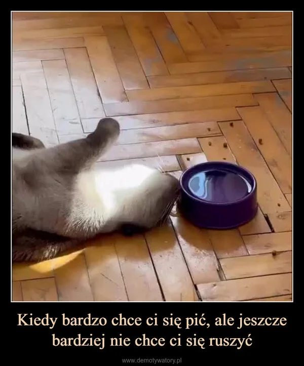
    Kiedy bardzo chce ci się pić, ale jeszcze bardziej nie chce ci się ruszyć