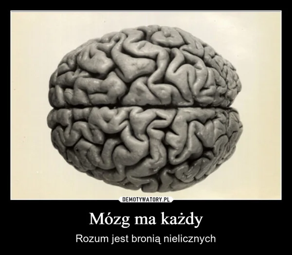 
    Mózg ma każdy
