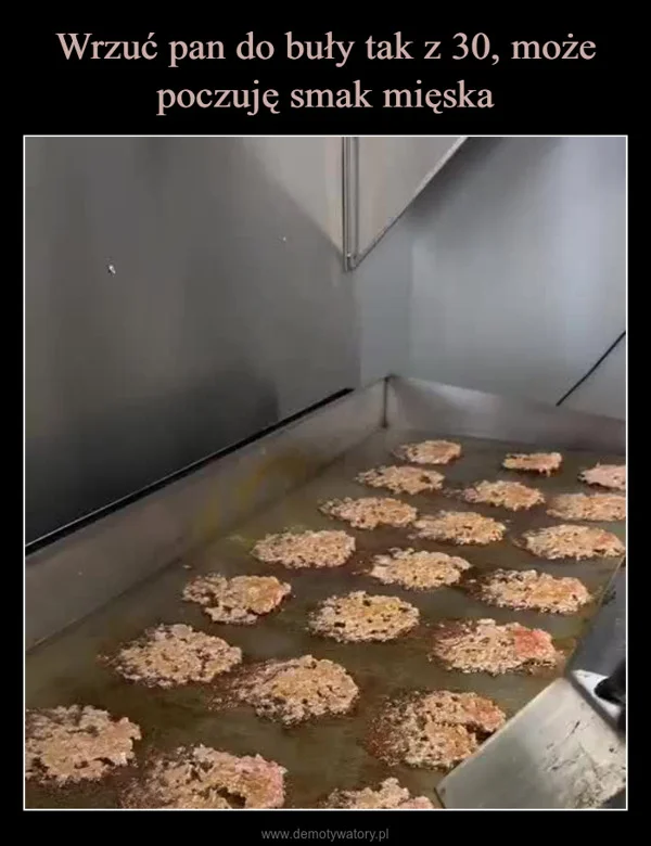 
    Wrzuć pan do buły tak z 30, może poczuję smak mięska