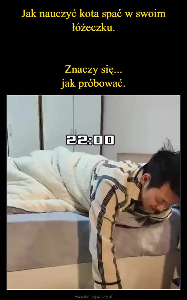 
    Jak nauczyć kota spać w swoim łóżeczku. Znaczy się... jak próbować.