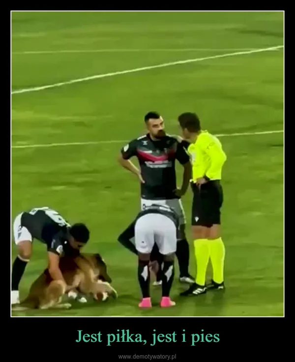 
    Jest piłka, jest i pies