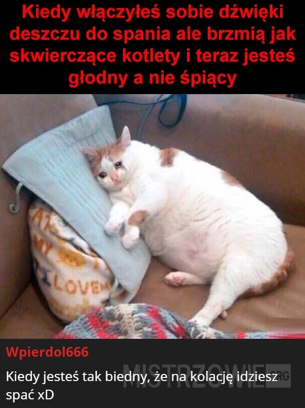 
    Dźwięki