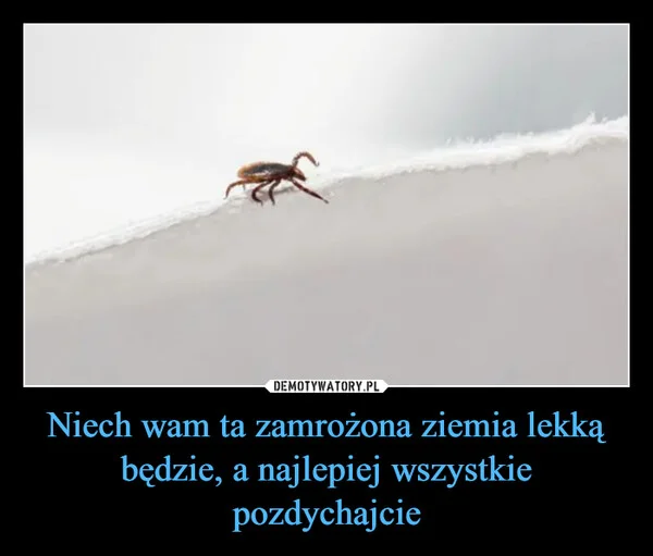 
    Niech wam ta zamrożona ziemia lekką będzie, a najlepiej wszystkie pozdychajcie