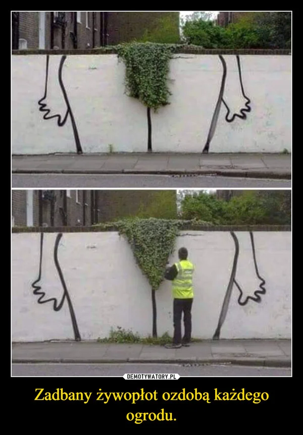 
    Zadbany żywopłot ozdobą każdego ogrodu.