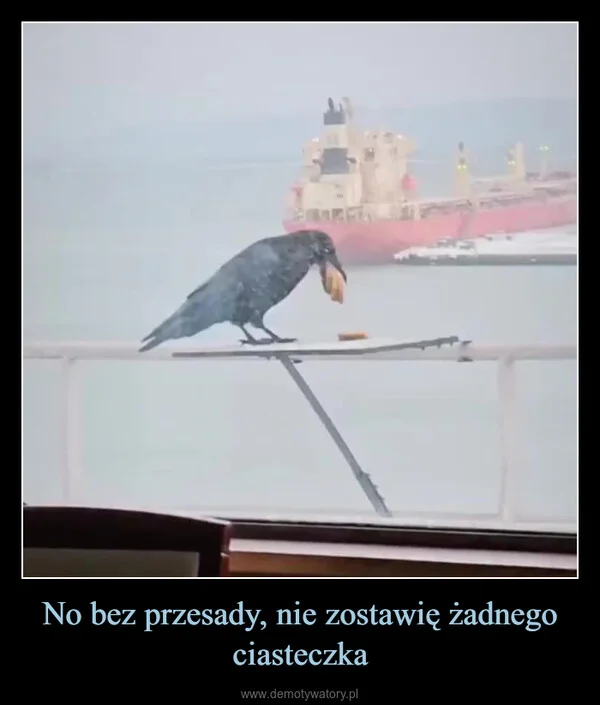 No bez przesady, nie zostawię żadnego ciasteczka