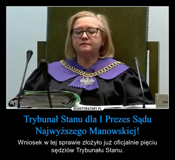 
    Trybunał Stanu dla I Prezes Sądu Najwyższego Manowskiej!