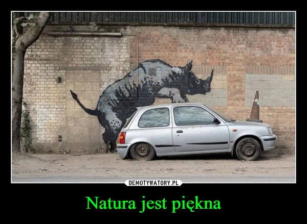 
    Natura jest piękna
