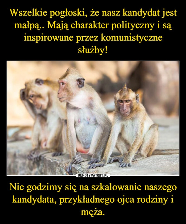 
    Wszelkie pogłoski, że nasz kandydat jest małpą.. Mają charakter polityczny i są inspirowane przez komunistyczne służby! Nie godzimy się na szkalowanie naszego kandydata, przykładnego ojca rodziny i męża.