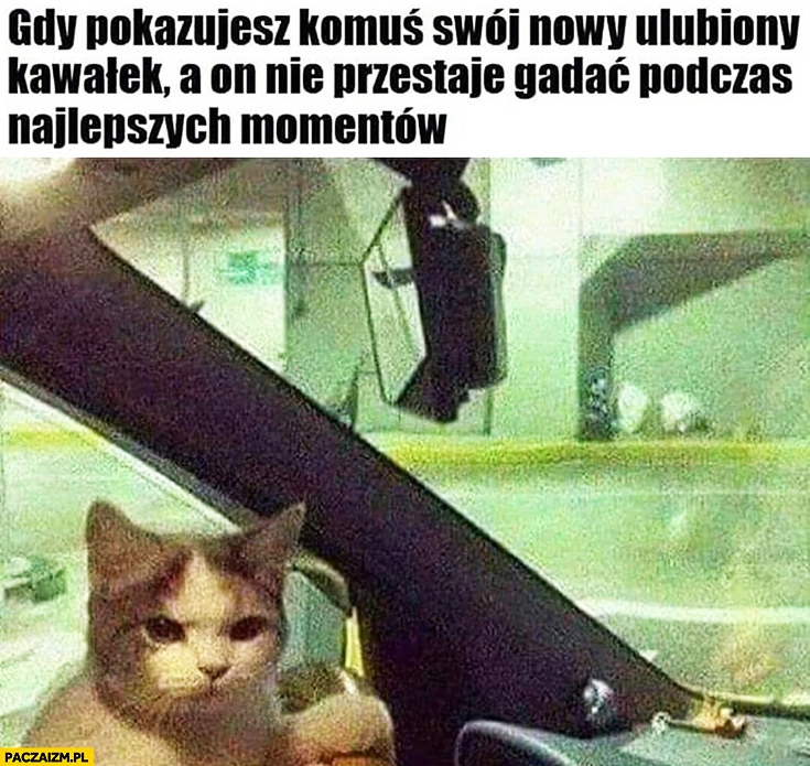 
    Kot gdy pokazujesz komuś swój nowy ulubiony kawałek a on nie przestaje gadać podczas najlepszych momentów