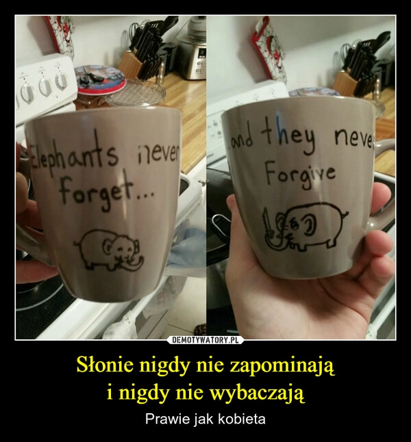 Słonie nigdy nie zapominają
i nigdy nie wybaczają