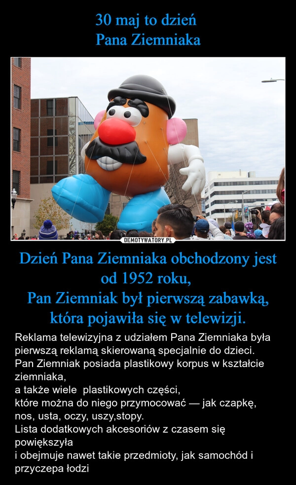 
    30 maj to dzień 
Pana Ziemniaka Dzień Pana Ziemniaka obchodzony jest od 1952 roku, 
Pan Ziemniak był pierwszą zabawką,
która pojawiła się w telewizji.