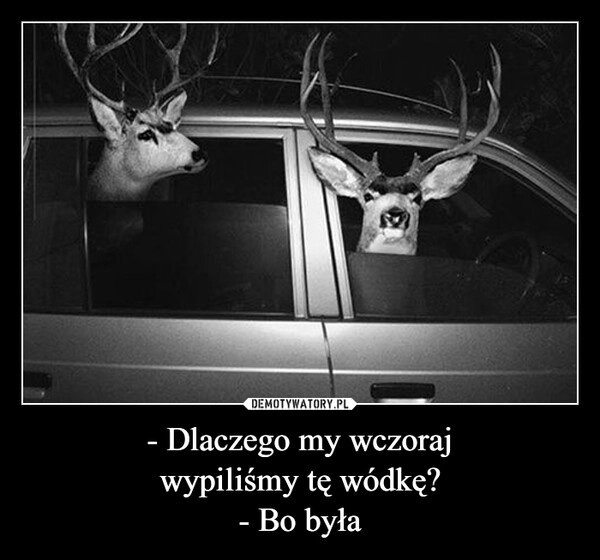 
    - Dlaczego my wczoraj
wypiliśmy tę wódkę?
- Bo była