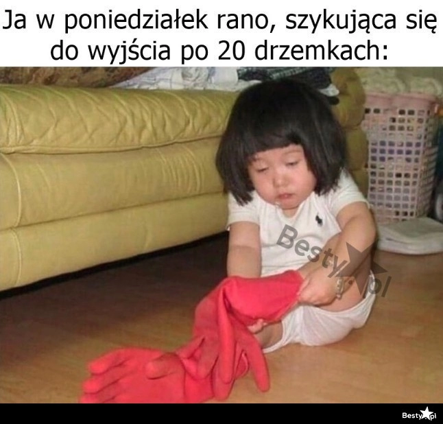 
    Poniedziałkowy poranek 