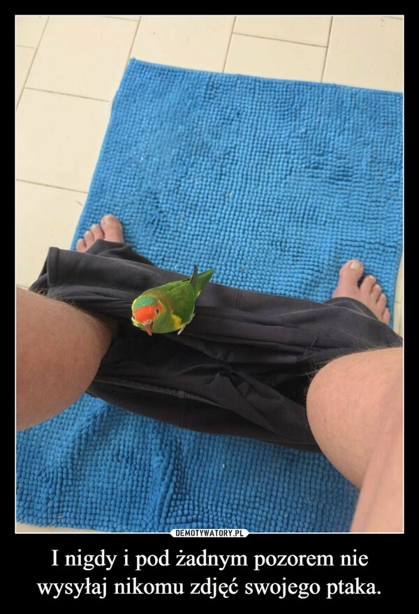 
    I nigdy i pod żadnym pozorem nie wysyłaj nikomu zdjęć swojego ptaka.