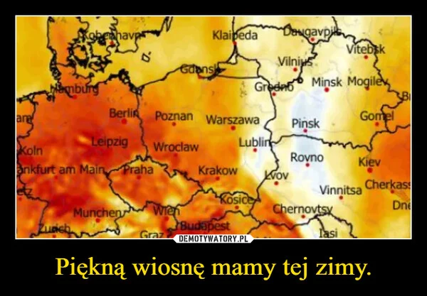 
    Piękną wiosnę mamy tej zimy.