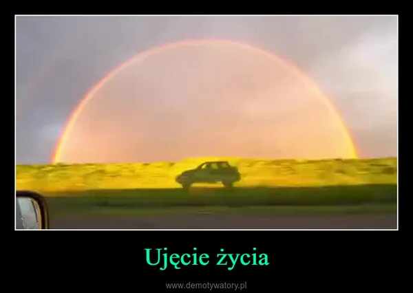 
    Ujęcie życia