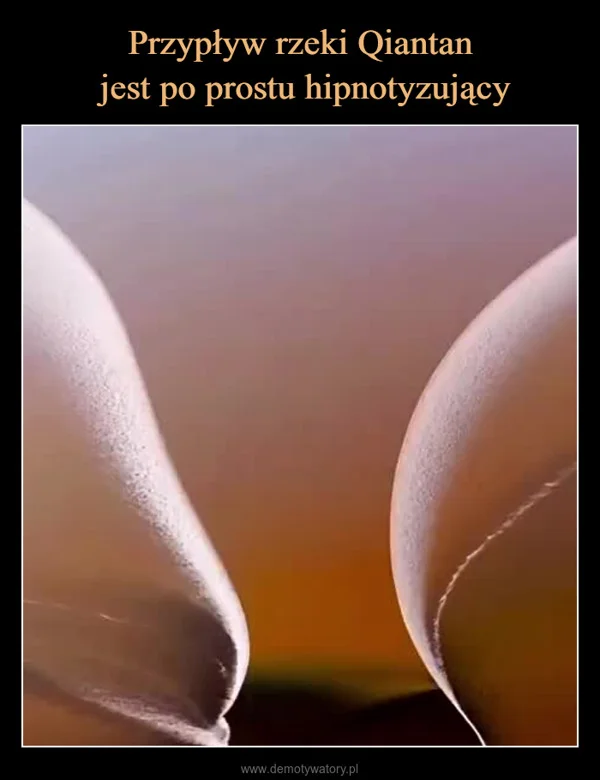 
    Przypływ rzeki Qiantan jest po prostu hipnotyzujący