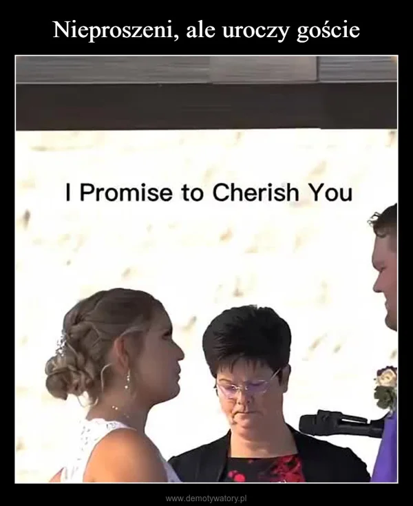 
    Nieproszeni, ale uroczy goście