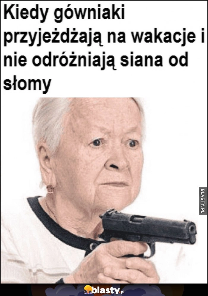 
    Babcia z pistoletem: kiedy gówniaki przyjeżdżają na wakacje i nie odróżniają siana od słomy