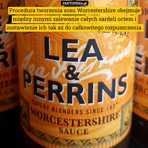 
    Procedura tworzenia sosu Worcestershire obejmuje między innymi zalewanie