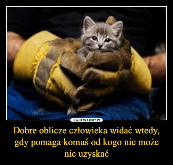 
    Dobre oblicze człowieka widać wtedy, gdy pomaga komuś od kogo nie może nic uzyskać