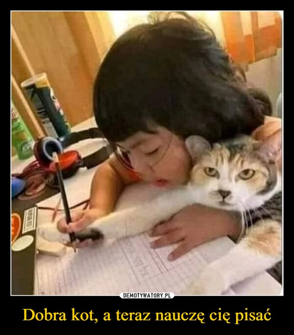 
    
Dobra kot, a teraz nauczę cię pisać 