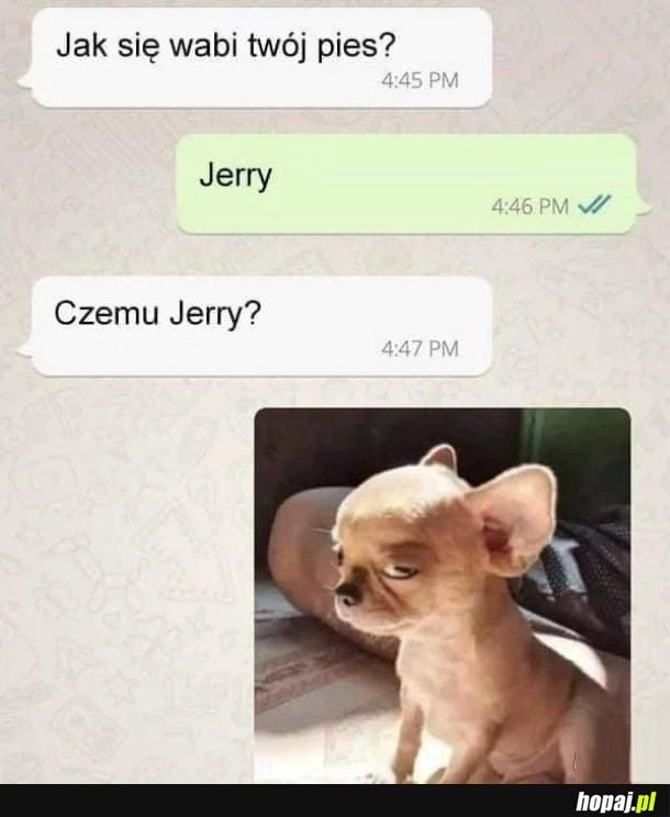 
    Jerry