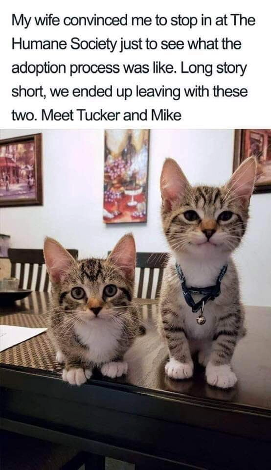 
    The look on Mike's face kills me.