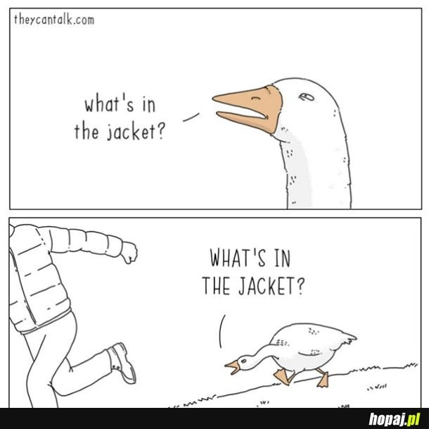 
    Oryginalna wersja słynnego mema z gęsią