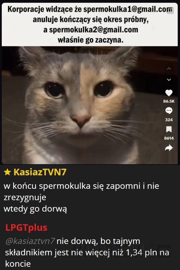 
    Korporacje