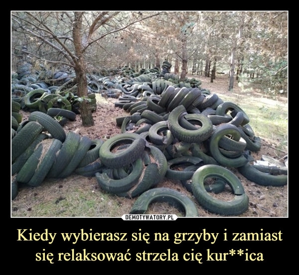 
    Kiedy wybierasz się na grzyby i zamiast się relaksować strzela cię kur**ica