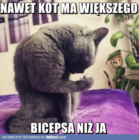 
    Nawet on