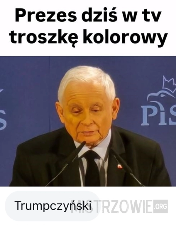 
    Podobny