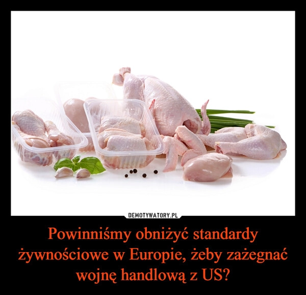 
    Powinniśmy obniżyć standardy żywnościowe w Europie, żeby zażegnać wojnę handlową z US?