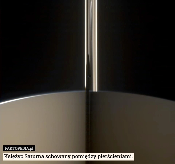 Księżyc Saturna schowany pomiędzy pierścieniami.