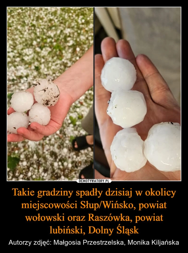 Takie gradziny spadły dzisiaj w okolicy miejscowości Słup/Wińsko, powiat wołowski oraz Raszówka, powiat lubiński, Dolny Śląsk