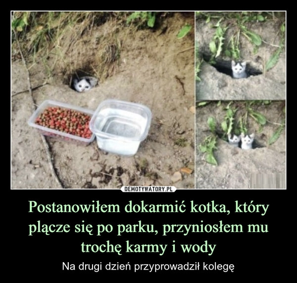 
    Postanowiłem dokarmić kotka, który plącze się po parku, przyniosłem mu trochę karmy i wody